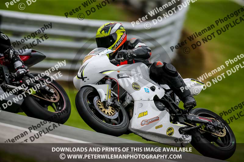 PJ Motorsport 2019;anglesey;brands hatch;cadwell park;croft;donington park;enduro digital images;event digital images;eventdigitalimages;mallory;no limits;oulton park;peter wileman photography;racing digital images;silverstone;snetterton;trackday digital images;trackday photos;vmcc banbury run;welsh 2 day enduro